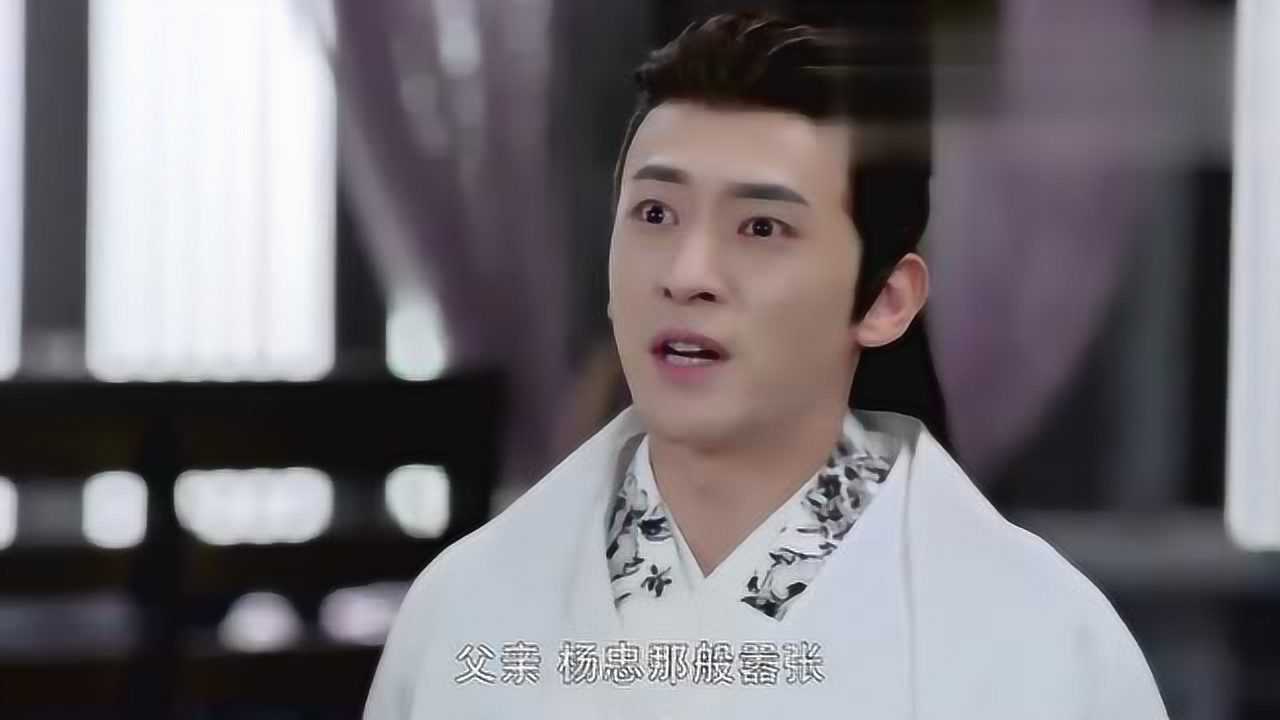 独孤皇后宇文会对男子说救伽罗的人是杨忠