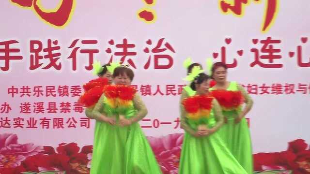 乐民镇庆祝三八妇女节109周年暨“平安家庭”普法宣传活动