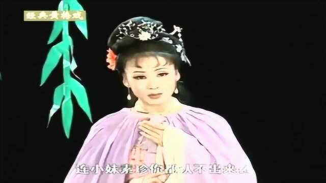 素珍和李郎的初次见面,女方羞羞答答的娇滴状实在让人怜爱