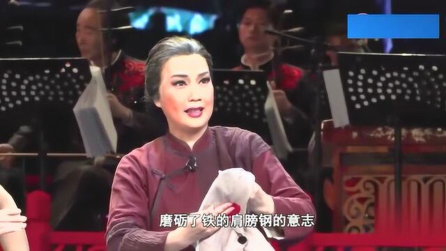 潮剧——苦口婆心有深意 詹少君 林外贸精彩表演