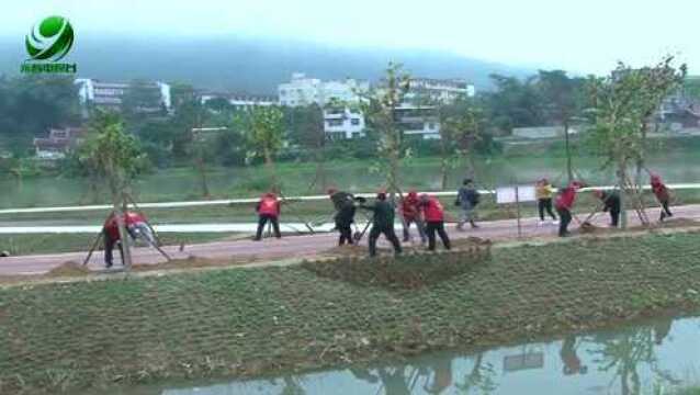 永春县四套班子领导参加义务植树活动