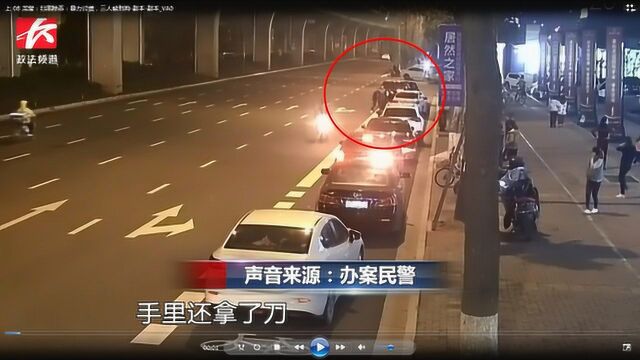 追讨110万债务未果,3男子拿“杀猪刀”当街暴力殴打担保人被刑拘