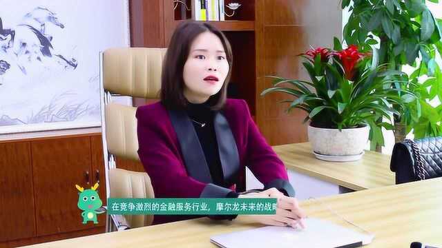 成都摩尔龙总经理刘希“诚信315”新闻采访