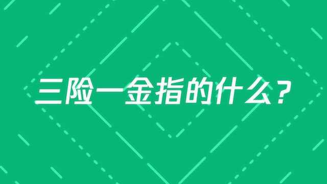 三险一金,都包括什么呢?