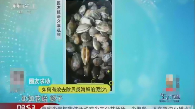 如何有效去除海鲜贝类泥沙?