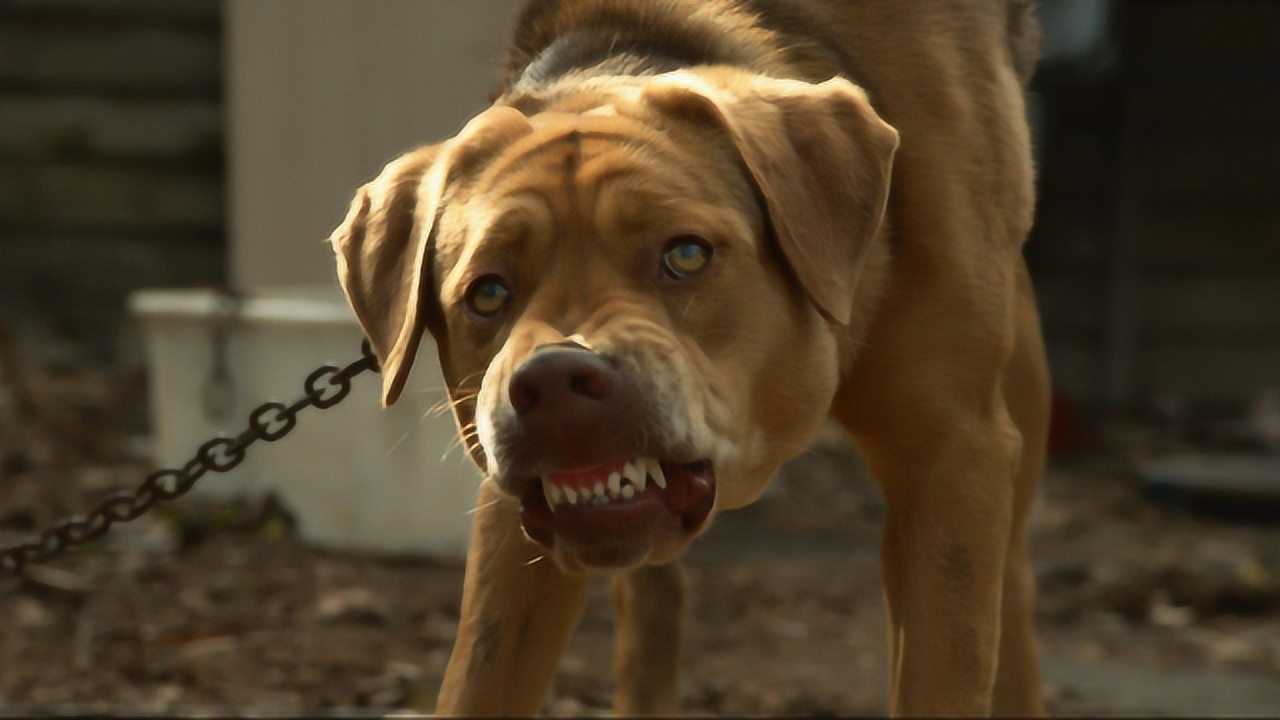 电影_高清1080p在线观看平台_腾讯视频