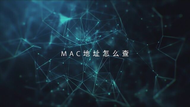 电脑mac地址是怎么查的