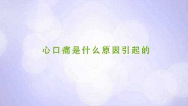 两分钟了解胸口有点疼是什么原因