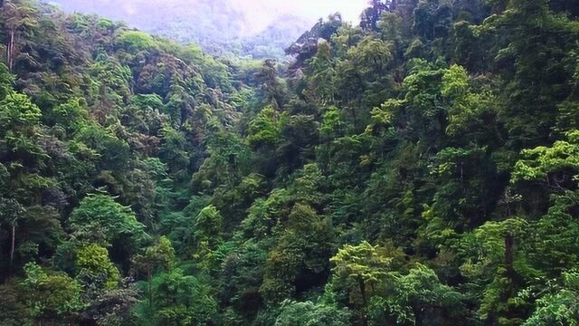 腾冲“高黎贡山”犹如大自然的人间仙境