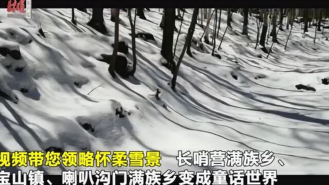 最美四月天!一场春雪将怀柔等地装扮成童话世界