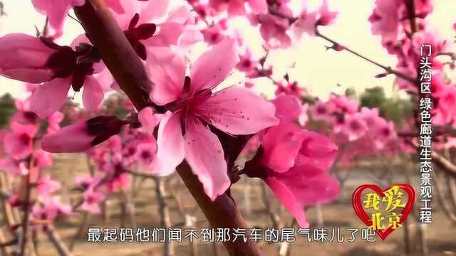 我爱北京:门头沟绿色廊道