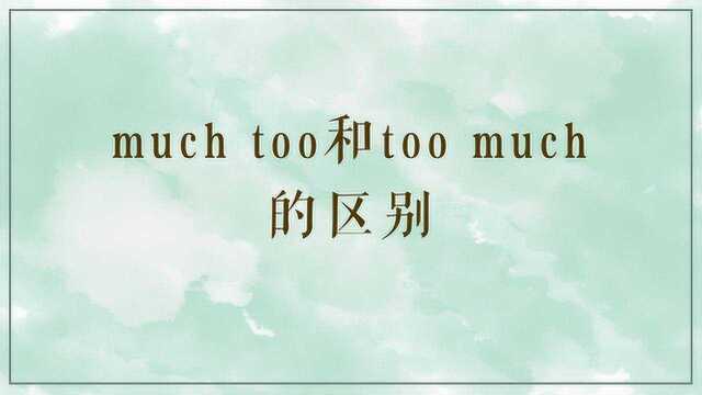 much too和too much的区别是?