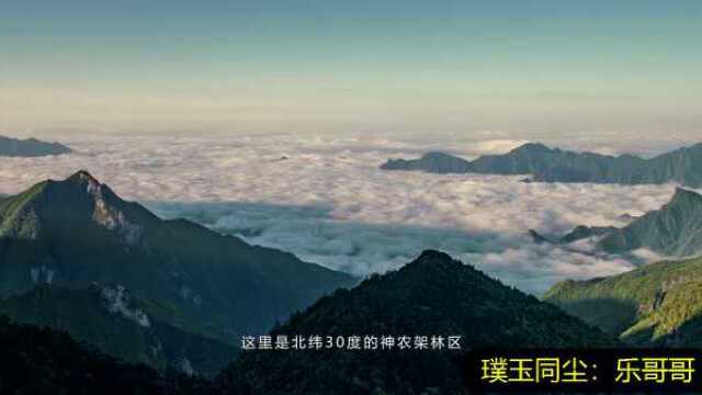 航拍:神农架林区风光美景