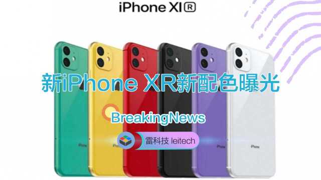 拯救颜值?新iPhone XR再曝光:新增绿色和薰衣草色