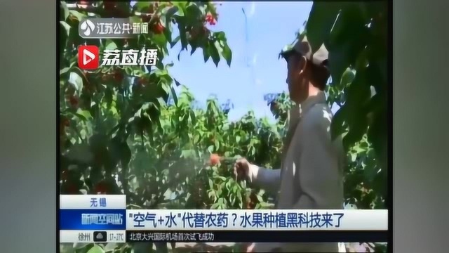 “空气+水”能代替农药?水果种植黑科技来了