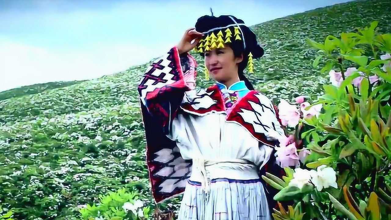 苗族阿卯歌曲 映山红