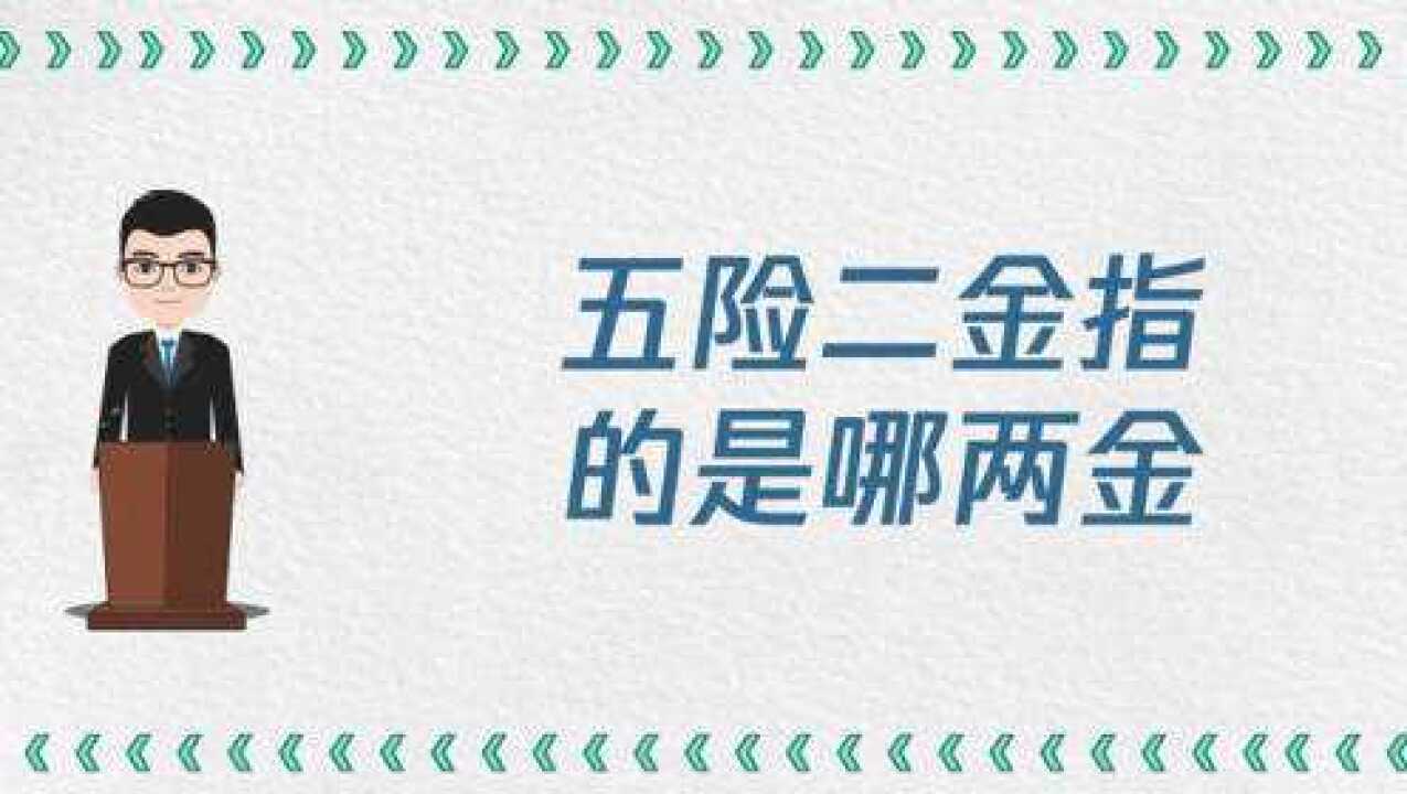 五险二金指的是哪两金
