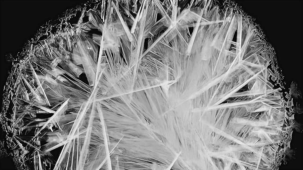 创意展示化学之美微镜头下的结晶