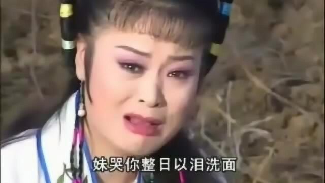 庐剧《杨三姐告状》哭坟,陈璐璐演唱