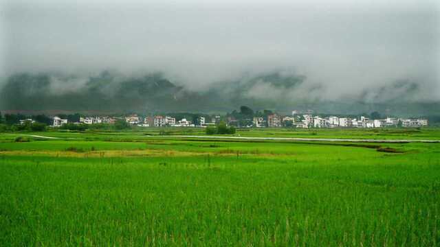 小清新雨景 令人心旷神怡