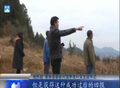 杨胜超家庭:发展千亩油茶林“带领村民增收”