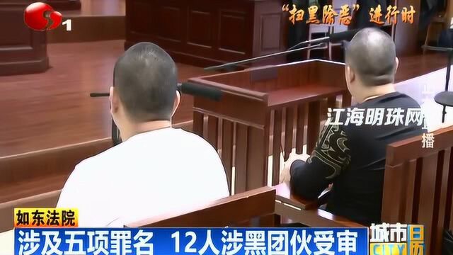 如东:12人涉黑团伙受审 涉及五项罪名