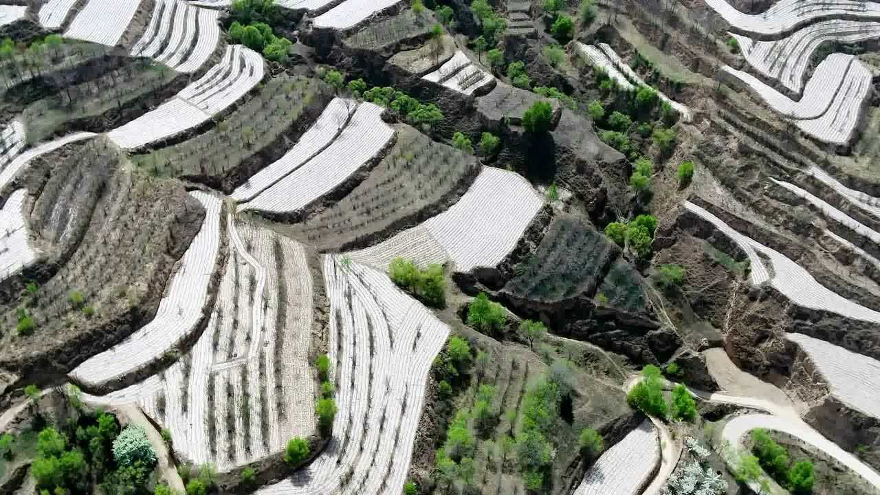 广河县水泉乡排套村高标准农田建设项目一标段