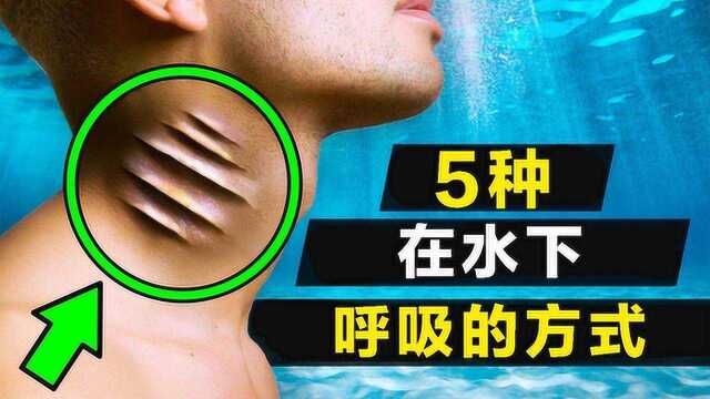 人类在水下呼吸的5种方式!