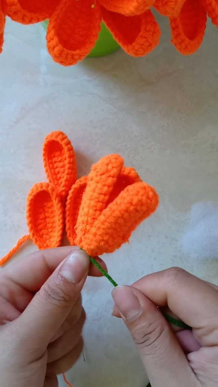 编织作品,君子兰教程二