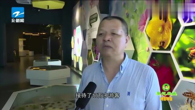 跟着“中国蜂王”走进蜂蜜之乡江山