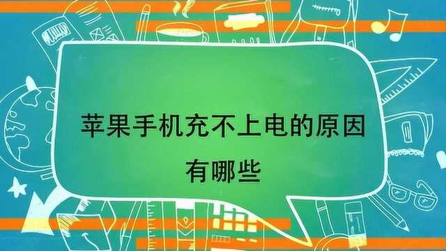 苹果手机充不上电的原因有哪些?