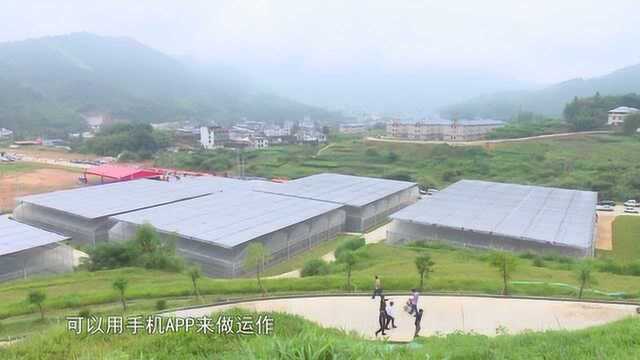 福建百香果产业示范园开园仪式顺利举行