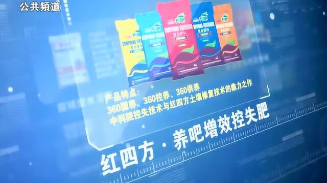 中盐红四方 ——“红色劲典、江淮”品牌 勇创新 引潮流!