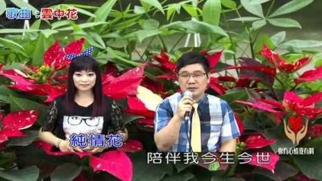 带你一起听好歌 翻唱闽台歌曲 云中花