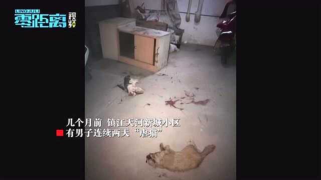 男子连续虐杀流浪猫引发全城寻人 作案现场视频遭曝光