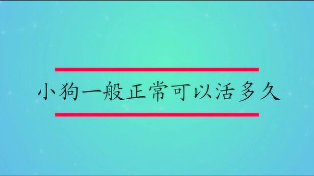 小狗一般正常可以活多久