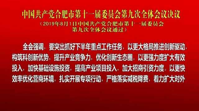 中国共产党合肥市第十一届委员会第九次全体会议决议