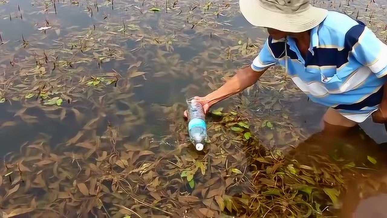 大叔教你怎么用矿泉水瓶捕鱼原来这么简单又学到了一招
