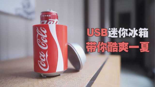 夏天寝室神器!USB迷你冰箱,让你享受冰可乐!