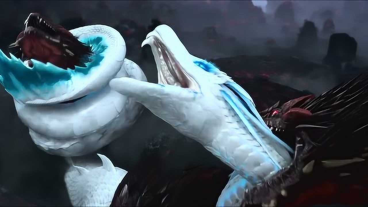 千年巨蟒大战,败就败在少一个脑袋,第一次看到两头都是头的蟒