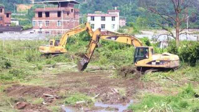 东肖:推进北大附属实验学校国际校区东肖项目建设