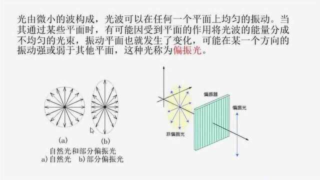 网络研讨会:酶标仪荧光检测中那些您不知道的事