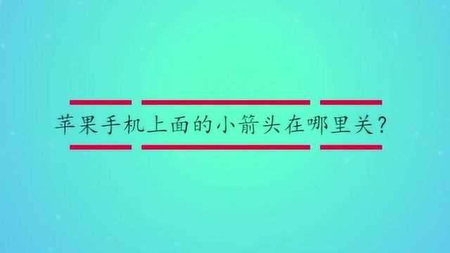 苹果手机上面的小箭头在哪里关?