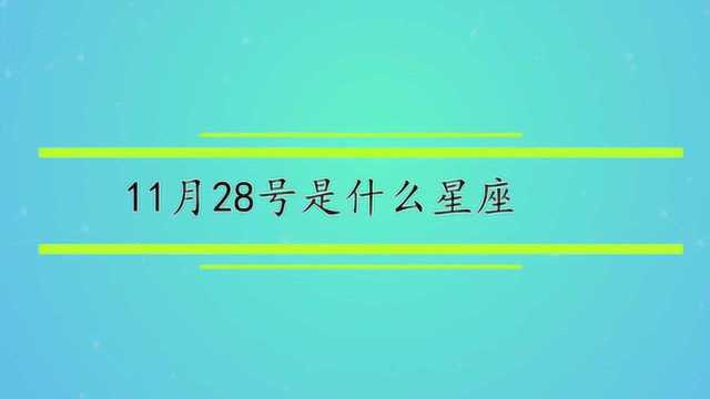 11月28号是什么星座