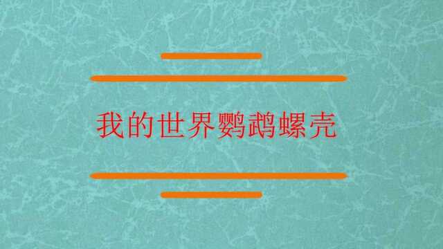 我的世界鹦鹉螺壳怎么弄?