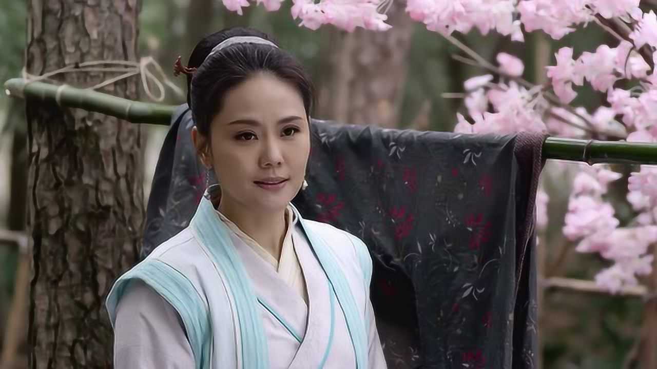 开封府大结局;包拯回到家里,雨柔两人看着对方相视一笑.