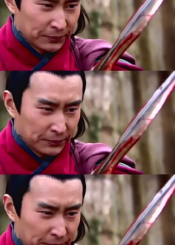 电视剧精忠报国杨再兴曾试图单枪匹马冲阵擒获金兀术