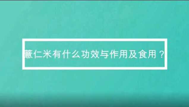 薏仁米有什么功效与作用及食用?