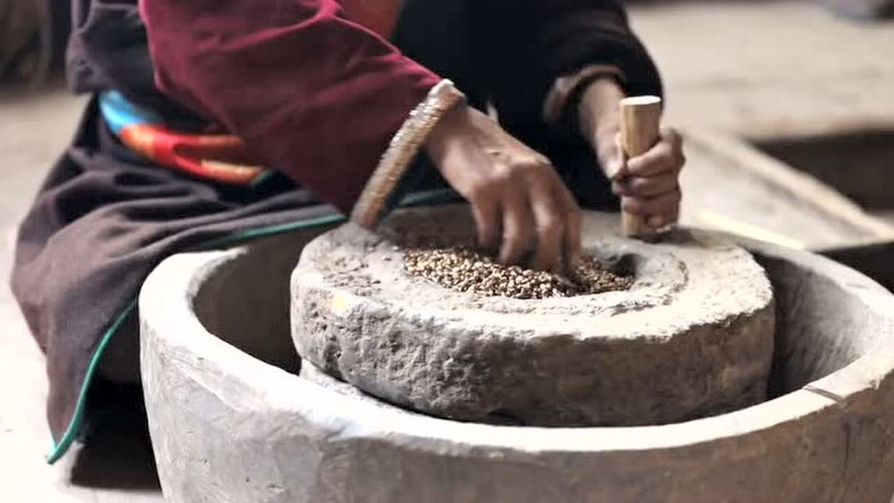才巴爷爷炒青稞啦,磨青稞面给你做糌粑吃_高清1080P在线观看平台_腾讯视频