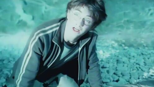 哈利和小天狼星被摄魂怪攻击，却有人救下他们，哈利以为是他父亲